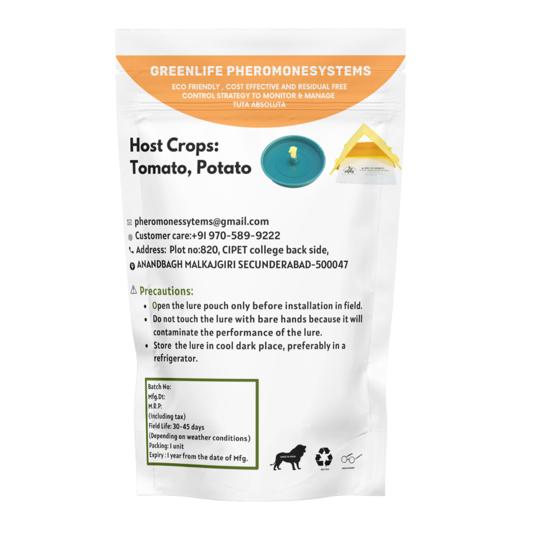 Tuta absoluta (Tomato leafminer)