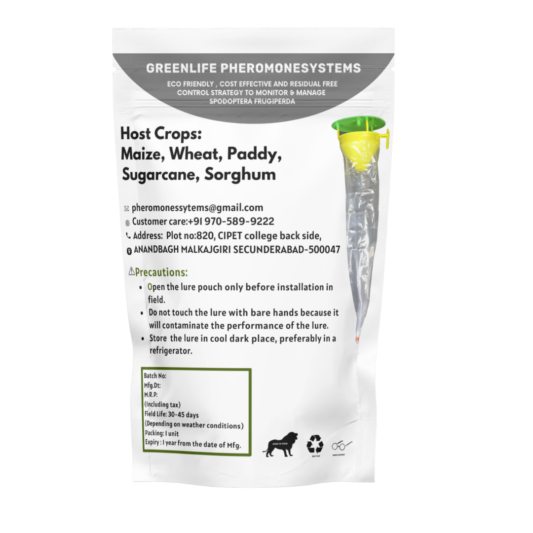 Spodoptera frugiperda (Fall ArmyWorm)