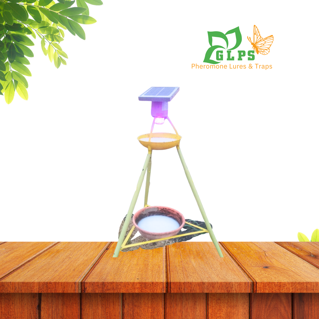 Solar Mini Trap