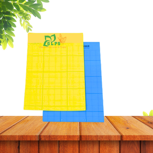 YELLOW & BLUE STICKY SHEETS PVC A4